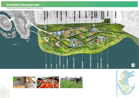 亿利国际生态岛项目规划概念设计方案