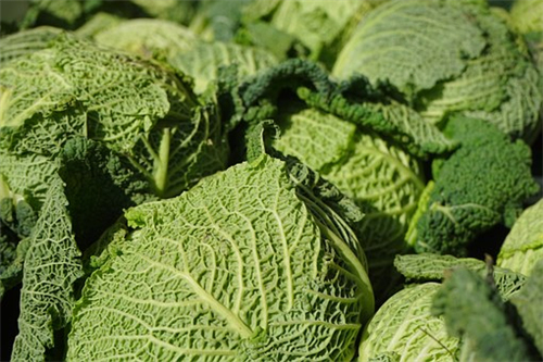海南三亚蔬菜补贴新政：白菜、土豆、萝卜等15种可行性研究品种将增加补贴，每斤增加0.3元