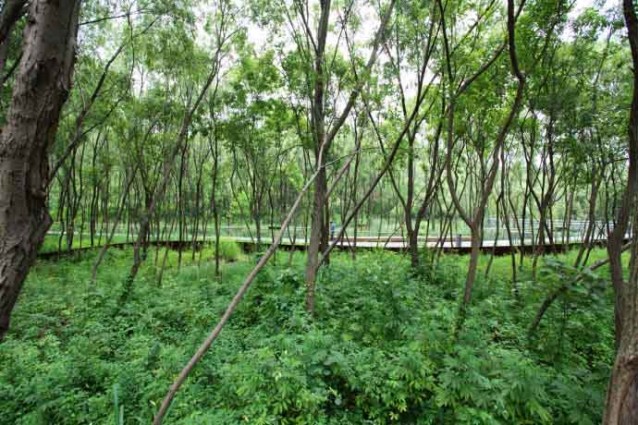 杭州江洋畈生态公园