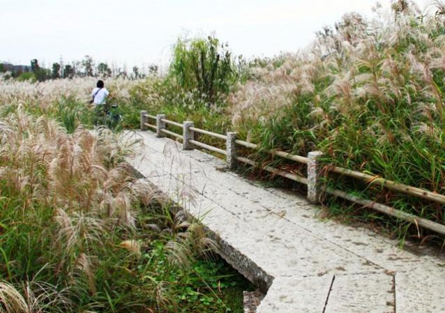 无锡长广溪国家湿地公园