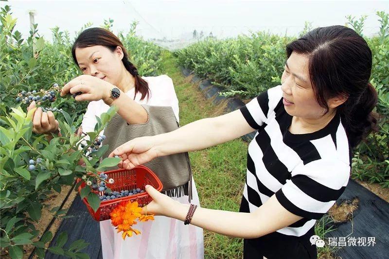 江西九江市瑞昌:农业综合开发助推“秀美乡村”升级的项目建设经验
