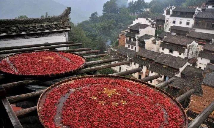 农业农村部：中国“美丽乡村建设”十大模式正式公布！