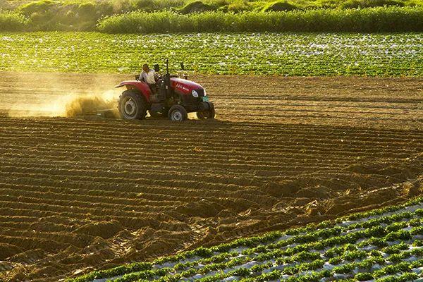 解读最新政策:《国家质量兴农战略规划（2018-2022年）》有哪些农业风向标?