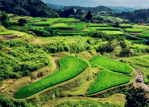 山西省2018农村农林文旅康产业融合发展建设项目方案（附补助标准）