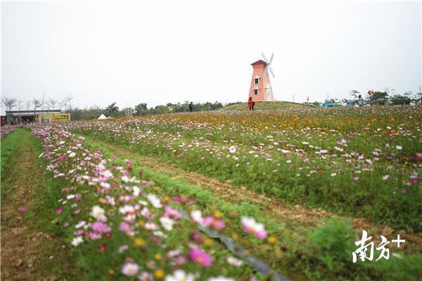 惠州规划建设逾10条省级精品乡村游线路