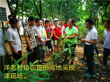 乐东农技中心联合省农科院进村入户继续开展科技助力精准扶贫培训活动（二）