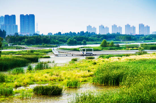 哈尔滨文化中心湿地公园