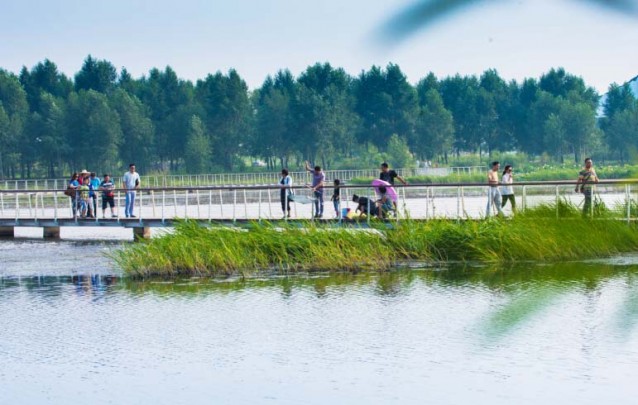哈尔滨文化中心湿地公园