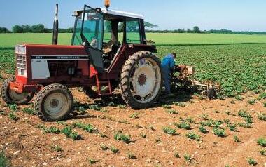 农业农村部：未来农机补贴向社会化服务组织倾斜