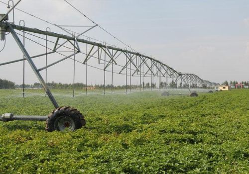 小土豆大作为，榆阳入选首批国家农村产业融合发展示范园