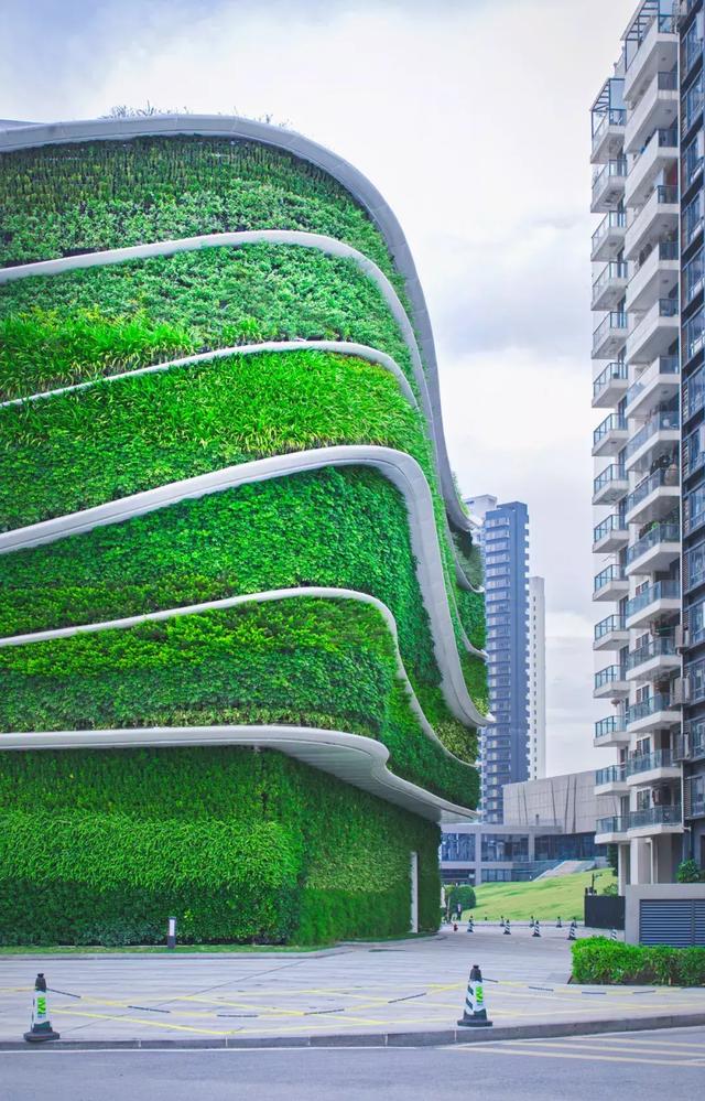 广州建成世界最大垂直绿化项目，重新定义建筑立面！