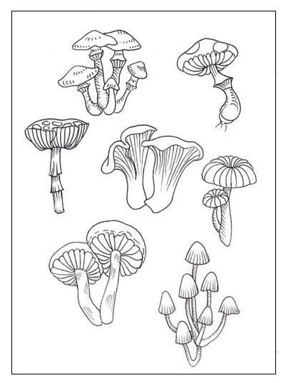非常逼真的3D蘑菇刺绣，附新手学做刺绣手工的18张蘑菇刺绣图！