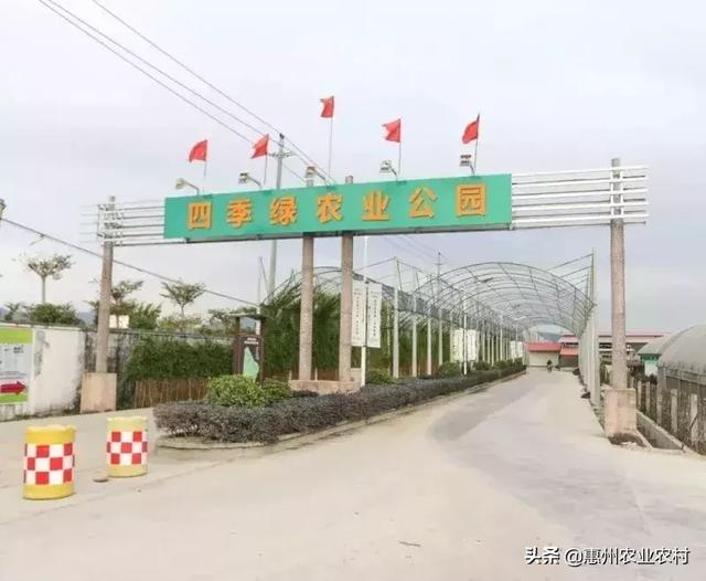 乡村振兴中，惠州农村一二三产业融合发展成效初显