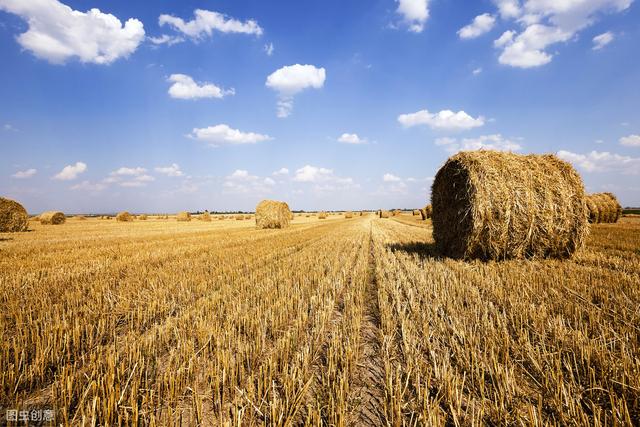科普：2019年秸秆还田，每亩可补助多少钱？详细为农民解读