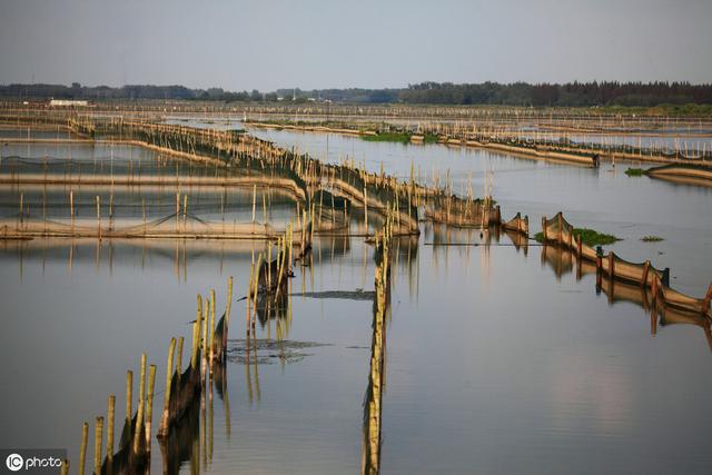关于加快推进广西水产养殖业绿色发展的实施意见（桂农厅发〔2019〕128号）