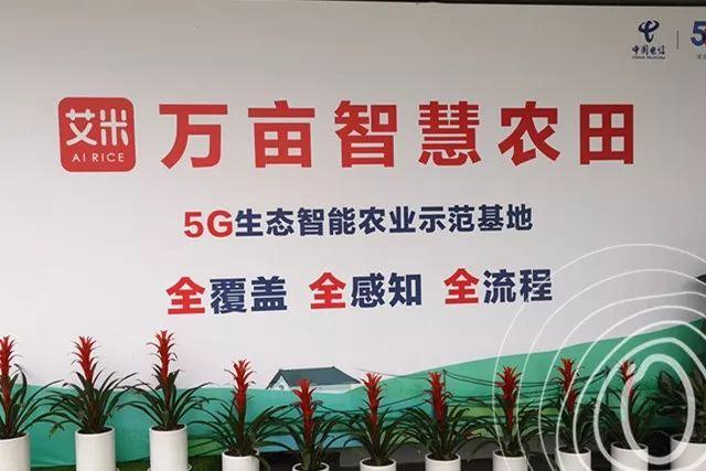 浙江正式启动“5G 智慧农业”，和传统模式有啥不一样？