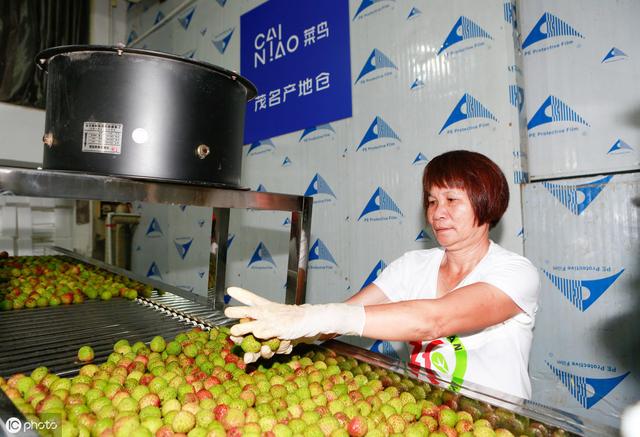 《2019年中国农产品电商发展报告》：“农产品电商大有可为”