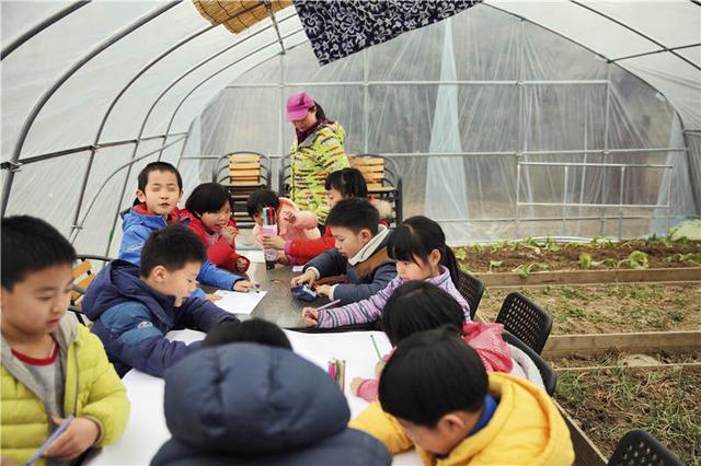 让孩子在幼儿园时期摘果子、玩泥巴，过上亲近自然的生活有多难？聚焦森林幼儿园模式在中国的艰难落地