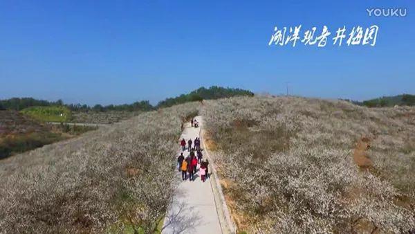 农业农村部发布2019精品景点线路，上杭榜上有名