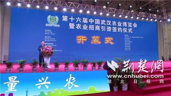 第十六届中国武汉农业博览会开幕式暨农业招商引资项目推介签约仪式于武汉举办