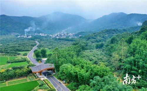 定了！广州从化5条乡村被认定为国家森林乡村
