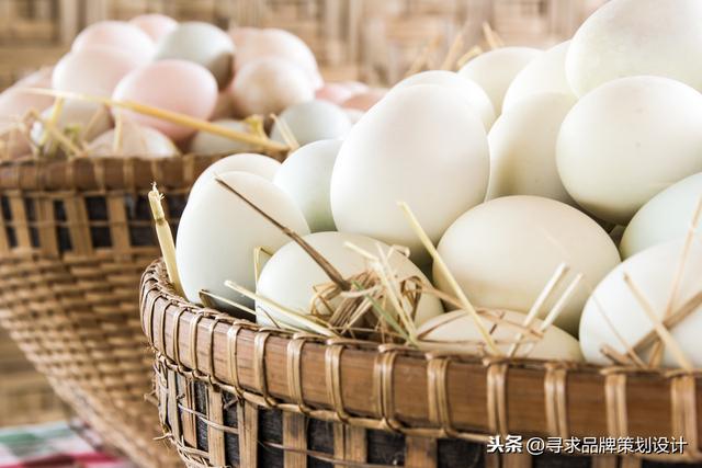 农业项目：众筹养鸭免费吃蛋的模式