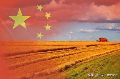 日本农业的“第六产业”到底是什么？中国能不能学？