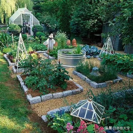 花园种菜，4步教你打造美美的院子（干货分享）
