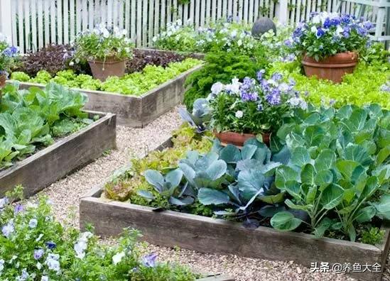 花园种菜，4步教你打造美美的院子（干货分享）
