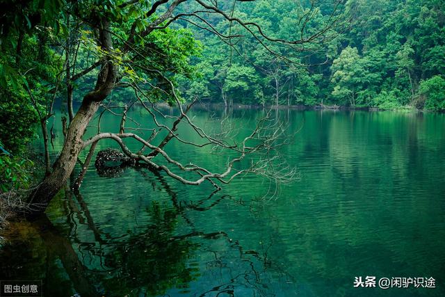 江西这个极其低调的县，却藏着数不清的山水美景！