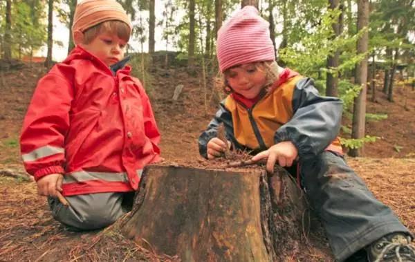 森林教育，原来是面向未来的教育