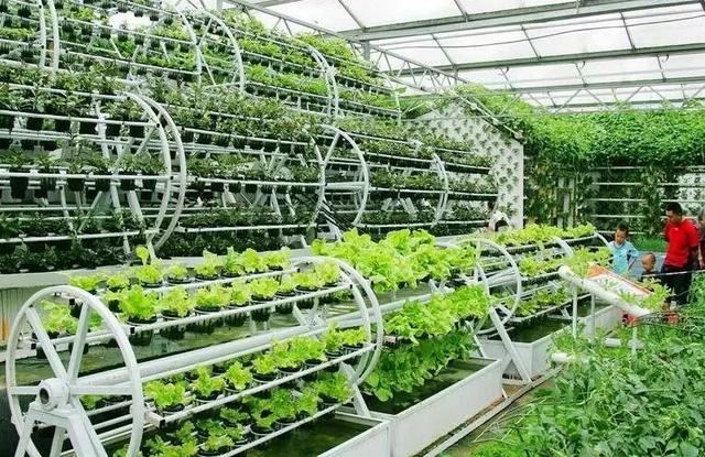 植物工厂与康养农业，如何融合发展？