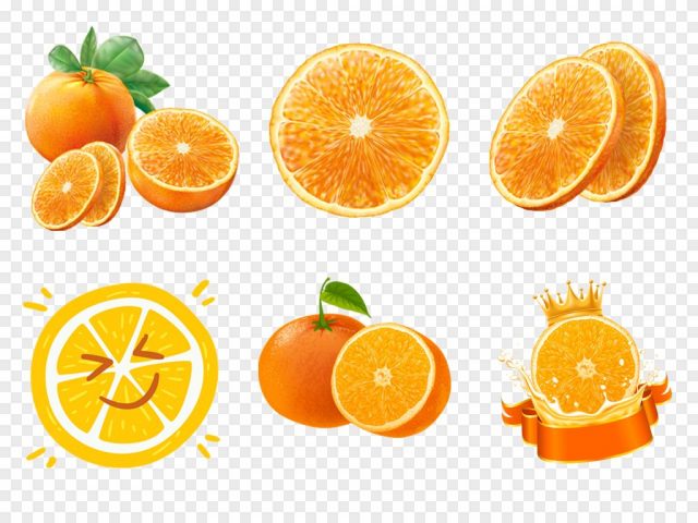 魔法橙子：幼儿园美术与食育科学课教案