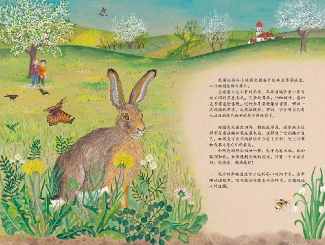 兔子节与养鸡场：带着孩子一起在农场体验探索与发现的乐趣