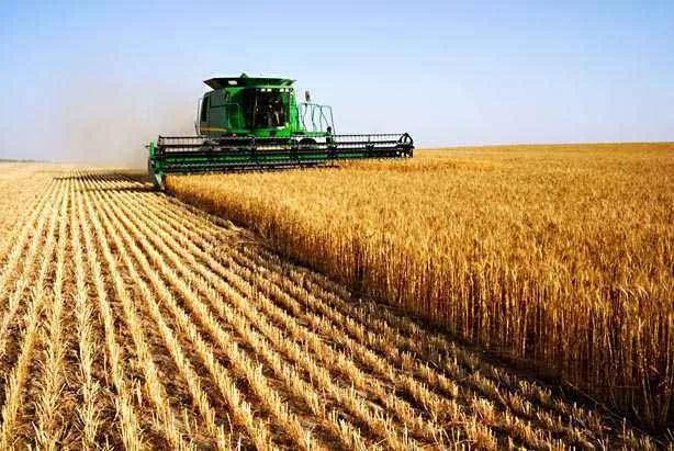 农村创新创业商机：农业生产托管是中国农业发展的大趋势