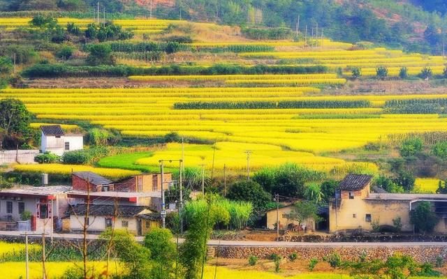 农业农村部印发《全国乡村产业发展规划（2020-2025年）》，如何提升乡村休闲旅游业？