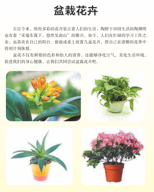 初中盆栽花卉课程