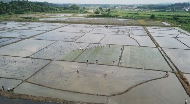南丰：发展“生态种养” 打造绿色农业
