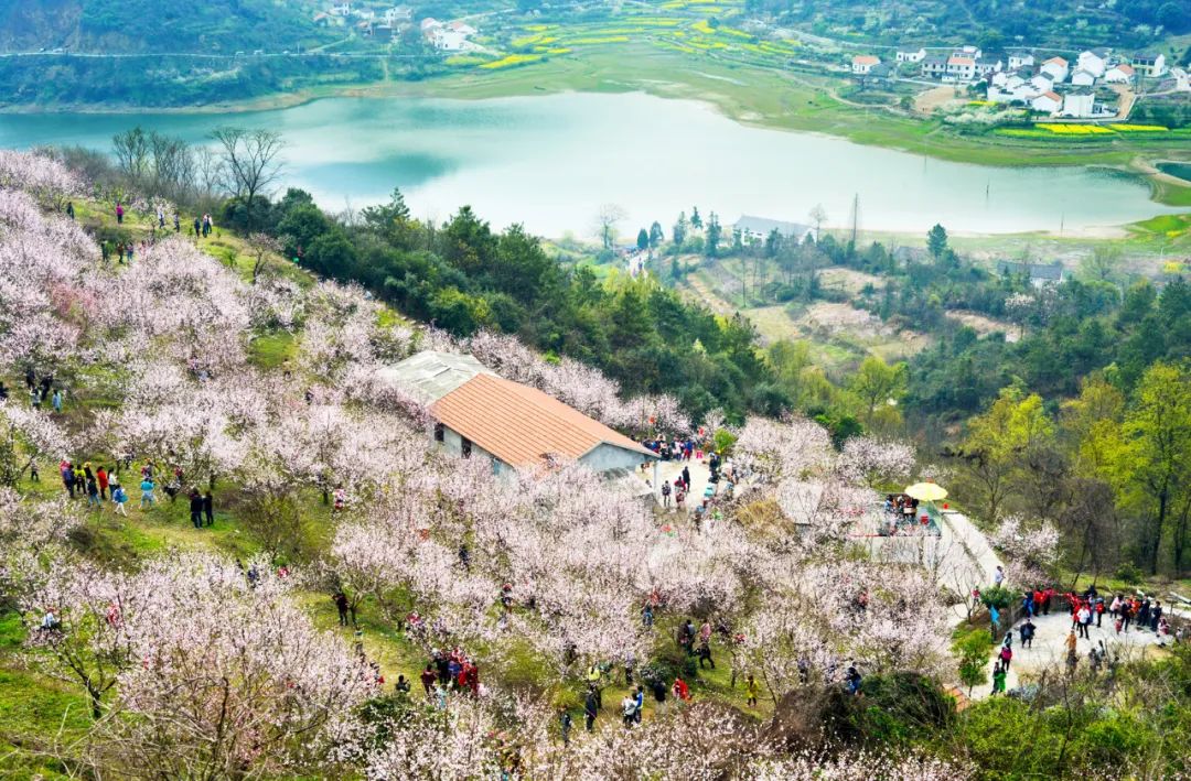 要火了！湖北这10个村入选2020年中国美丽休闲乡村名单