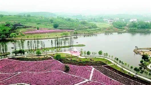 要火了！湖北这10个村入选2020年中国美丽休闲乡村名单