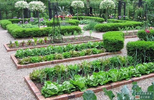 观赏性的菜园如何设计才能让庭院整体看来更美观看完记得收藏