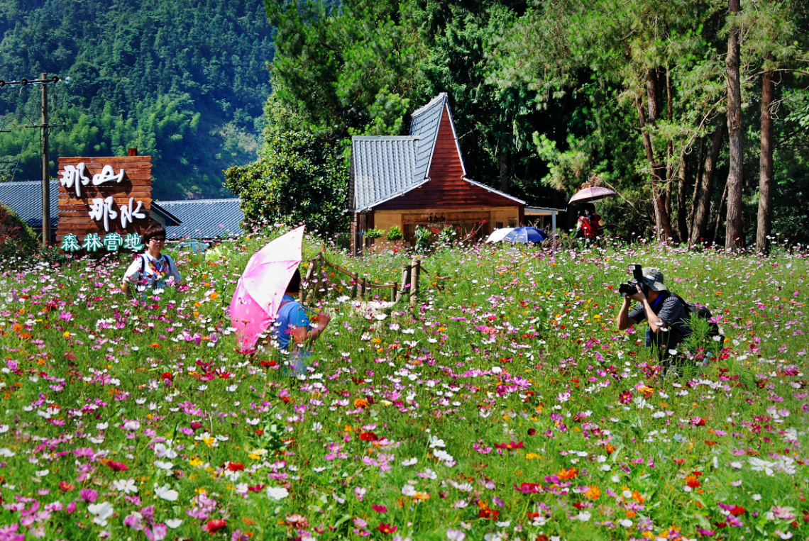 湖南乡村文化旅游节10月31日在郴州开幕，看看有哪些特色活动？