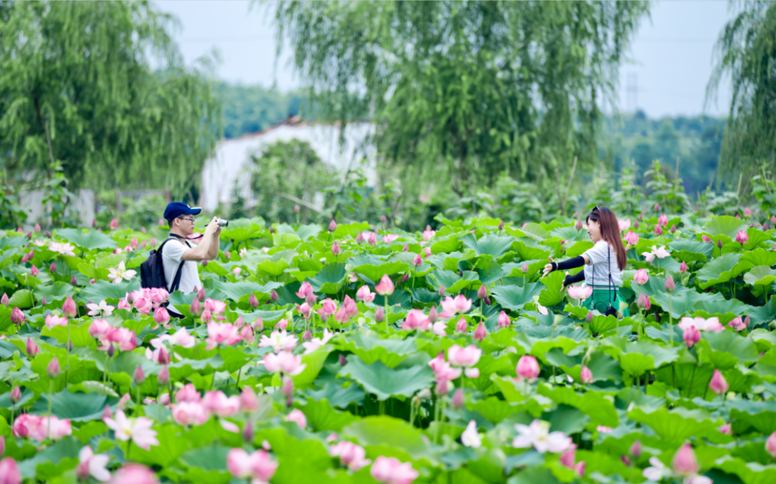 湖南乡村文化旅游节10月31日在郴州开幕，看看有哪些特色活动？