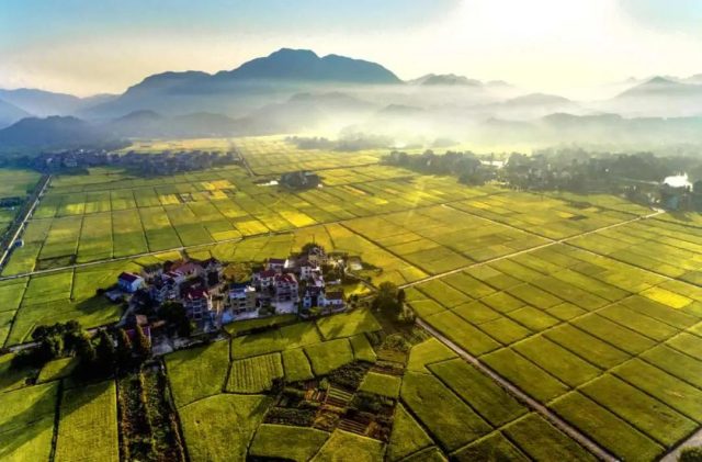 《中国农业绿色发展报告2020》发布，推进农业绿色发展的路径有哪些？
