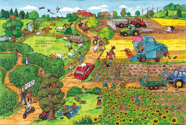 挖掘种植乐趣，培育种植情感：乡村幼儿园种植活动的设计与实施