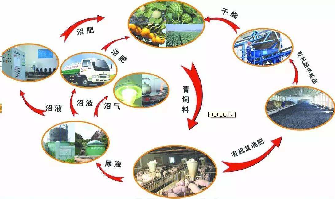 河南新野县与天津北辰区：实施循环农业，经济与环保双赢