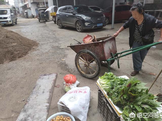 农村一些古稀之年的老人仍种田种菜去街上换钱，是劳动习惯还是生活所迫？
