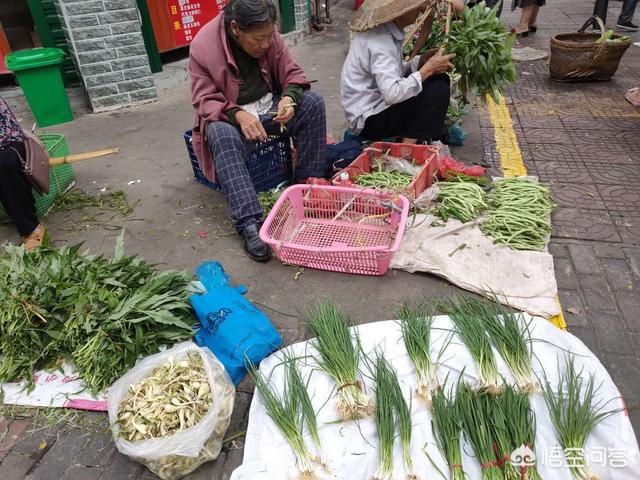 农村一些古稀之年的老人仍种田种菜去街上换钱，是劳动习惯还是生活所迫？
