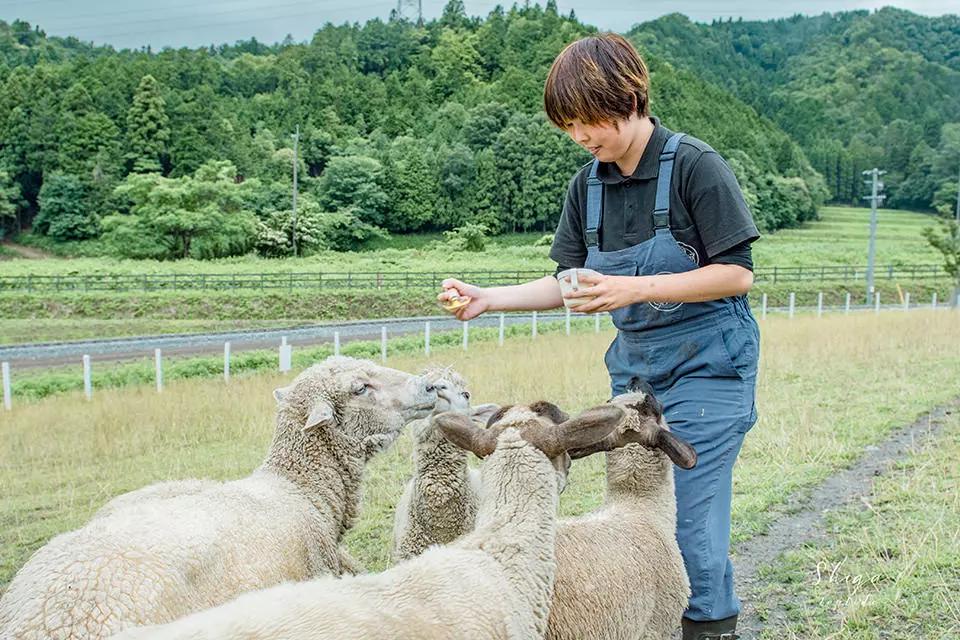 日本欧式精灵农场：一个不可思议的缩小版世界