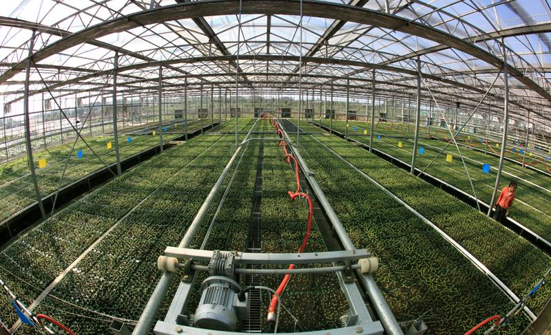 近10年中国十大农业科技成果，看看有哪些新品种和新技术？
